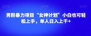 男粉暴力项目“女神计划”小白也可轻松上手，单人日入上千+【揭秘】-易得个人分享
