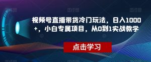 视频号直播带货冷门玩法，日入1000+，小白专属项目，从0到1实战教学【揭秘】-易得个人分享