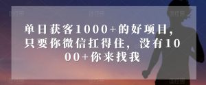 单日获客1000+的好项目，只要你微信扛得住，没有1000+你来找我【揭秘】-易得个人分享