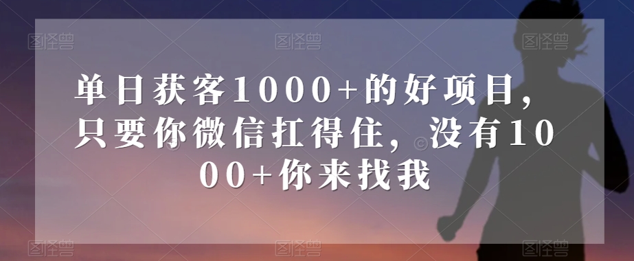 单日获客1000+的好项目，只要你微信扛得住，没有1000+你来找我【揭秘】-易得个人分享