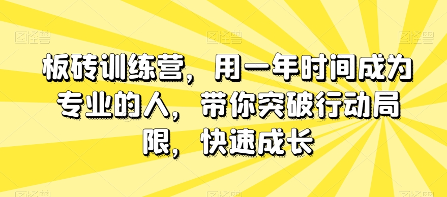 板砖训练营，用一年时间成为专业的人，带你突破行动局限，快速成长-易得个人分享