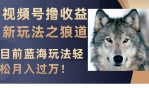 视频号撸收益新玩法之狼道，目前蓝海玩法，轻松月入过万【揭秘】-易得个人分享