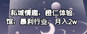 私域情趣，橙仁体验馆，暴利行业，月入2w【揭秘】-易得个人分享
