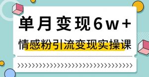 单月变现6W+，抖音情感粉引流变现实操课，小白可做，轻松上手，独家赛道【揭秘】-易得个人分享