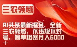 AI头条最新掘金，全新三农领域，不违规不封号，简单粗暴月入6000＋【揭秘】-易得个人分享