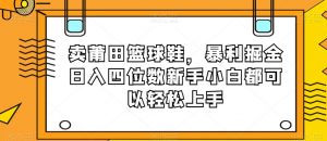 卖莆田篮球鞋，暴利掘金日入四位数新手小白都可以轻松上手【揭秘】-易得个人分享