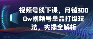 视频号线下课，月销3000w视频号单品打爆玩法，实操全解析-易得个人分享
