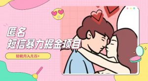 全网首发，揭秘超冷门匿名短信项目，通过信息差日入几百+【揭秘】-易得个人分享