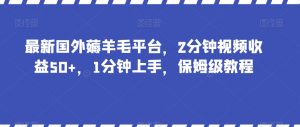 最新国外薅羊毛平台，2分钟视频收益50+，1分钟上手，保姆级教程【揭秘】-易得个人分享
