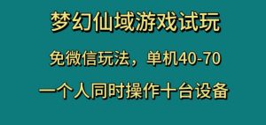 梦幻仙域游戏试玩，免微信玩法，单机40-70，一个人同时操作十台设备【揭秘】-易得个人分享