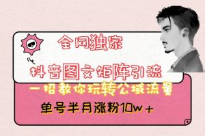 全网独家抖音图文矩阵引流，一招教你玩转公域流量，单号半月涨粉10w+【揭秘】-易得个人分享