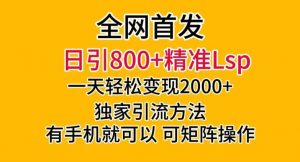全网首发！日引800+精准老色批，一天变现2000+，独家引流方法，可矩阵操作【揭秘】-易得个人分享