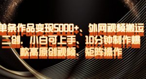 单条作品变现5000+、外网视频搬运二创，小白可上手，10分钟制作爆款高原创视频，矩阵操作【揭秘】-易得个人分享