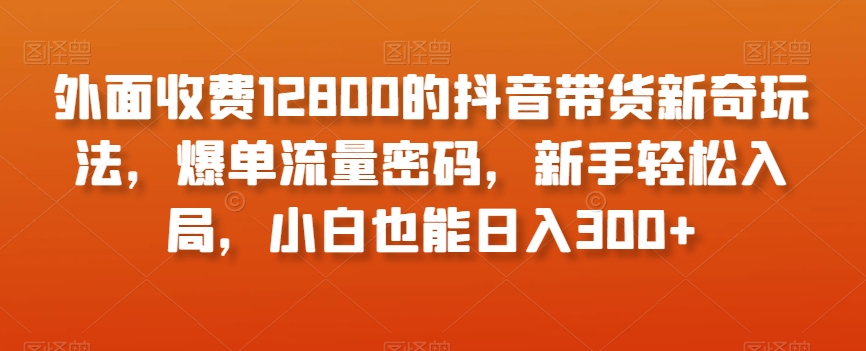 外面收费12800的抖音带货新奇玩法，爆单流量密码，新手轻松入局，小白也能日入300+【揭秘】-易得个人分享