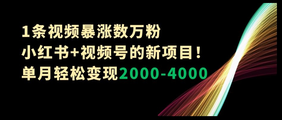 1条视频暴涨数万粉–小红书+视频号的新项目！单月轻松变现2000-4000【揭秘】-易得个人分享