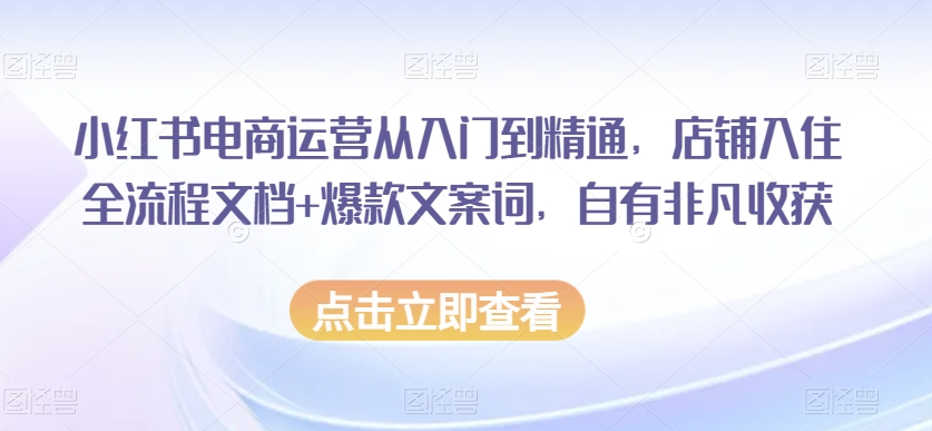 小红书电商运营从入门到精通，店铺入住全流程文档+爆款文案词，自有非凡收获-易得个人分享