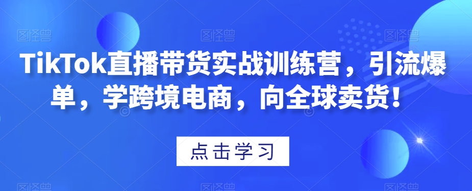 TikTok直播带货实战训练营，引流爆单，学跨境电商，向全球卖货！-易得个人分享