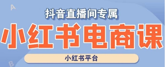 小红书电商高级运营课程，实操教学+案例分析-易得个人分享