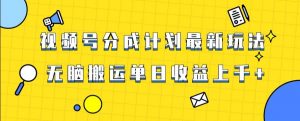 视频号最新爆火赛道玩法，只需无脑搬运，轻松过原创，单日收益上千【揭秘】-易得个人分享