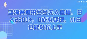 蓝海赛道拼多多无人直播，日入2600+，0成本变现，小白也能轻松上手【揭秘】-易得个人分享