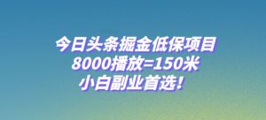 今日头条掘金低保项目，8000播放=150米，小白副业首选【揭秘】-易得个人分享