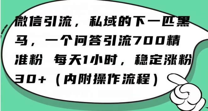 怎么搞精准创业粉？微信新赛道，每天一小时，利用Ai一个问答日引100精准粉-易得个人分享
