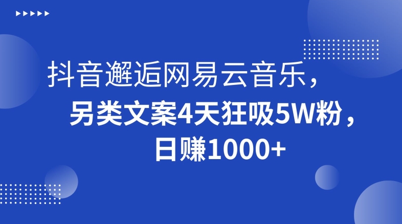 抖音邂逅网易云音乐，另类文案4天狂吸5W粉，日赚1000+【揭秘】-易得个人分享