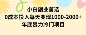 小白副业首选，0成本投入，每天变现1000-2000年底暴力冷门项目【揭秘】-易得个人分享