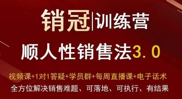 爆款！销冠训练营3.0之顺人性销售法，全方位解决销售难题、可落地、可执行、有结果-易得个人分享