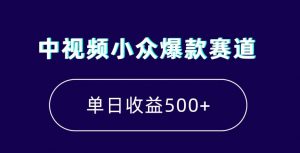 中视频小众爆款赛道，7天涨粉5万+，小白也能无脑操作，轻松月入上万【揭秘】-易得个人分享