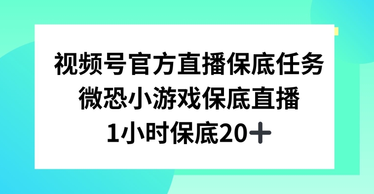 视频号直播任务，微恐小游戏，1小时20+【揭秘】-易得个人分享