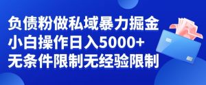 负债粉私域暴力掘金，小白操作入5000，无经验限制，无条件限制【揭秘】-易得个人分享