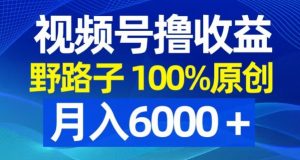 视频号野路子撸收益，100%原创，条条爆款，月入6000＋【揭秘】-易得个人分享