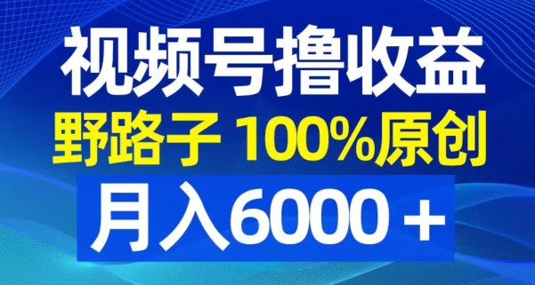 视频号野路子撸收益，100%原创，条条爆款，月入6000＋【揭秘】-易得个人分享