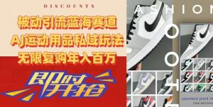 被动引流蓝海赛道，AJ运动用品私域玩法，无限复购年入百万【揭秘】-易得个人分享