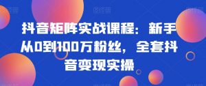 抖音矩阵实战课程：新手从0到100万粉丝，全套抖音变现实操-易得个人分享