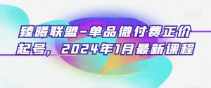 臻曦联盟-单品微付费正价起号，2024年1月最新课程-易得个人分享