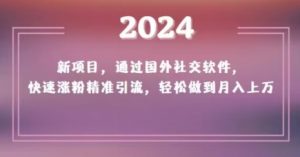 2024新项目，通过国外社交软件，快速涨粉精准引流，轻松做到月入上万【揭秘】-易得个人分享