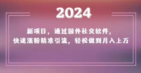2024新项目，通过国外社交软件，快速涨粉精准引流，轻松做到月入上万【揭秘】-易得个人分享