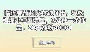 临近春节超火存钱打卡，轻松引爆小红薯流量，3分钟一条作品，20天涨粉4000+【揭秘】-易得个人分享