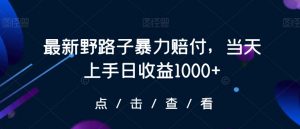 最新野路子暴力赔付，当天上手日收益1000+【仅揭秘】-易得个人分享