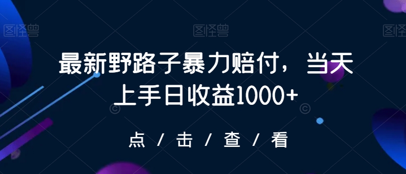 最新野路子暴力赔付，当天上手日收益1000+【仅揭秘】-易得个人分享