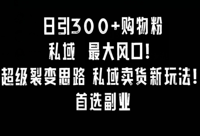 日引300+购物粉，超级裂变思路，私域卖货新玩法，小红书首选副业【揭秘】-易得个人分享