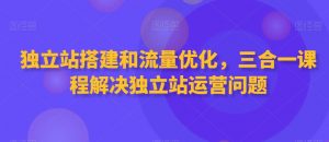 独立站搭建和流量优化，三合一课程解决独立站运营问题-易得个人分享