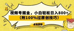 视频号掘金，小白轻松日入800+（附100%过原创技巧）【揭秘】-易得个人分享