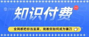 2024最新知识付费项目，小白也能轻松入局，全网都在教你做项目，我教你做镰刀【揭秘】-易得个人分享