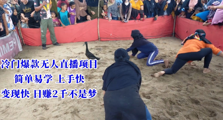 冷门爆款无人直播项目，简单易学上手快，变现快日赚2千不是梦【揭秘】-易得个人分享