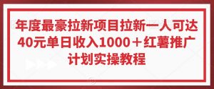 年度最豪拉新项目拉新一人可达40元单日收入1000＋红薯推广计划实操教程【揭秘】-易得个人分享