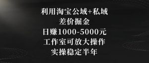 利用淘宝公域+私域差价掘金，日赚1000-5000元，工作室可放大操作，实操稳定半年【揭秘】-易得个人分享