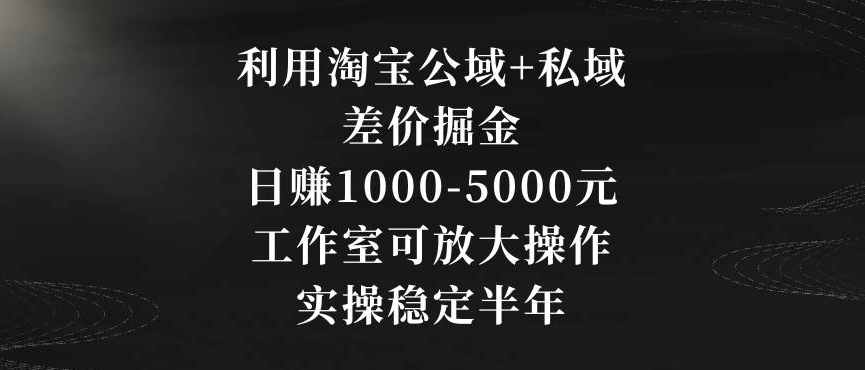 利用淘宝公域+私域差价掘金，日赚1000-5000元，工作室可放大操作，实操稳定半年【揭秘】-易得个人分享